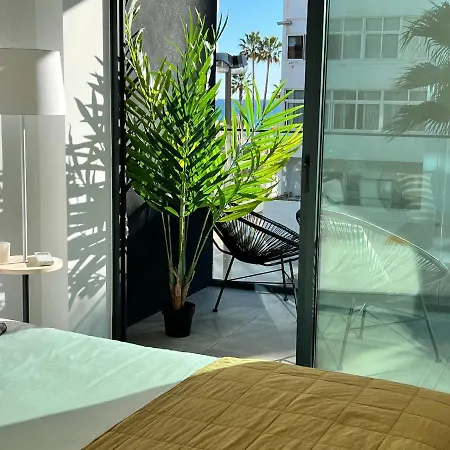 Terraços 2d3